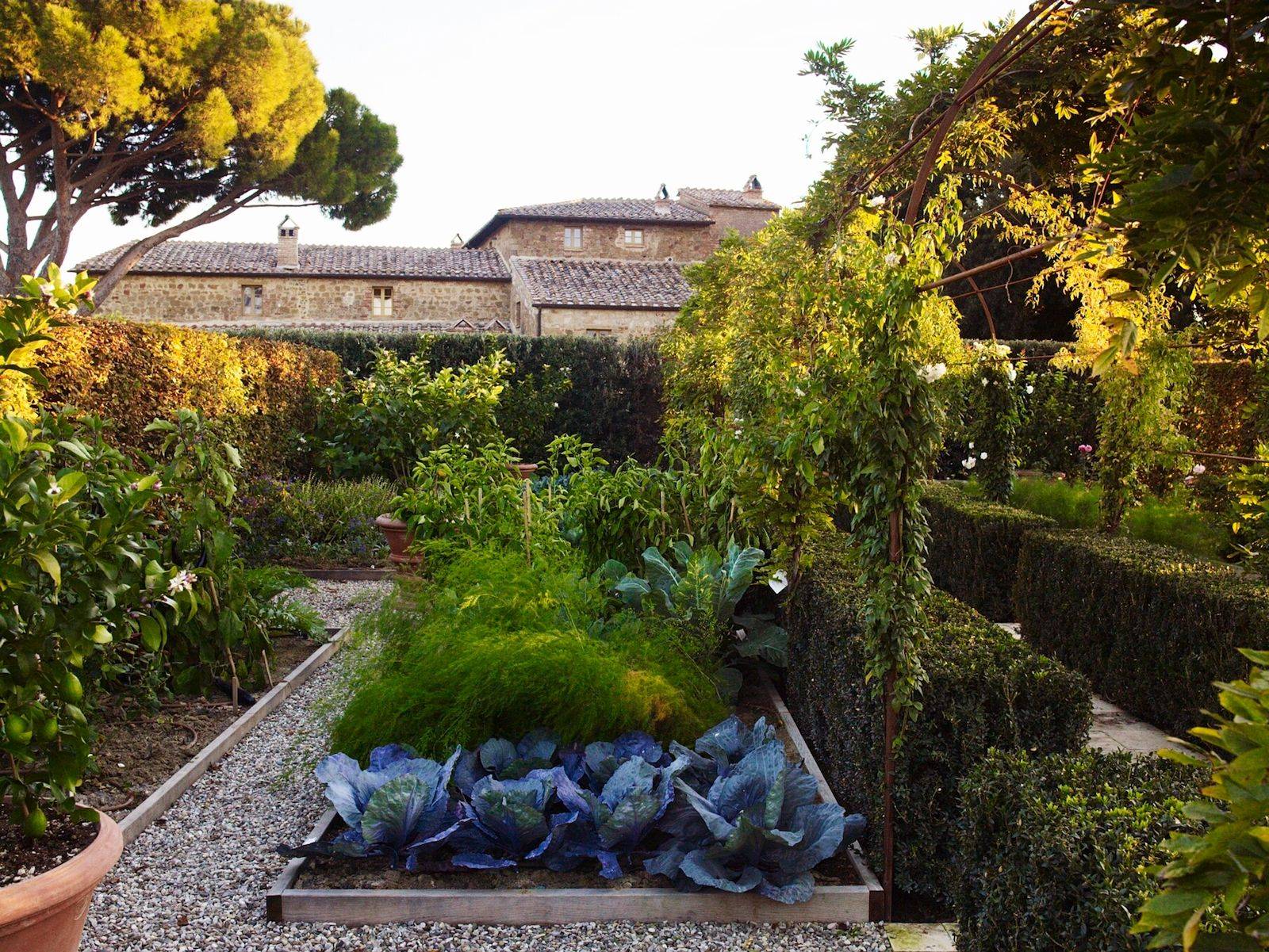 Luciano Giubbilei Knightsbridge Modern Garden Design Contemporary