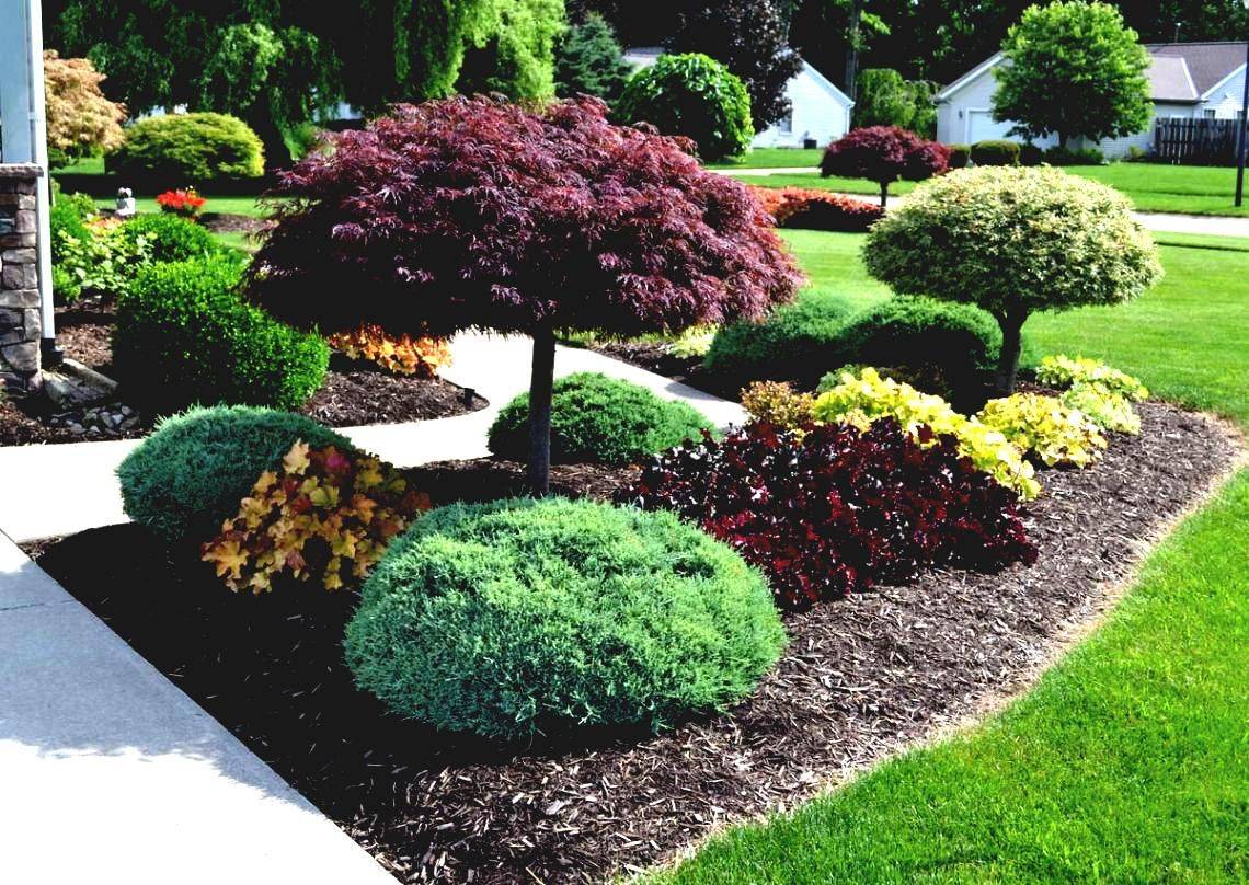 Landscaping Around Trees