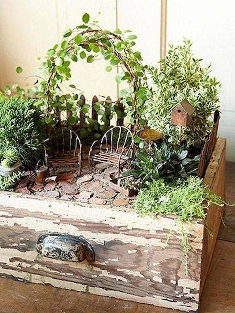 Garden Ideas