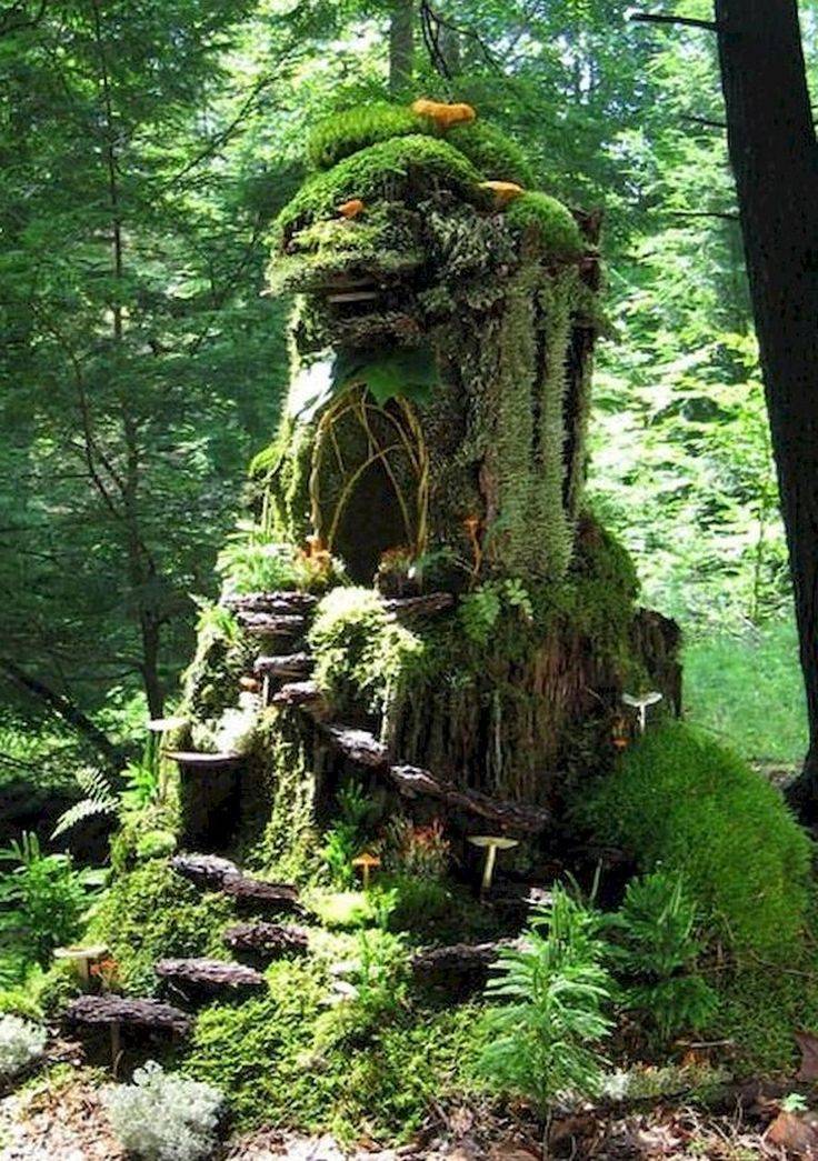 Garden Ideas