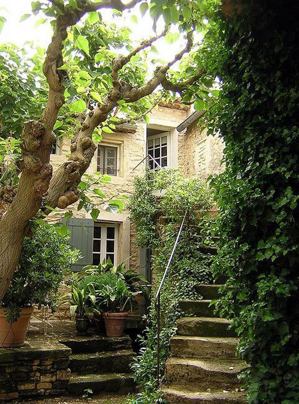 French Provencal Garden