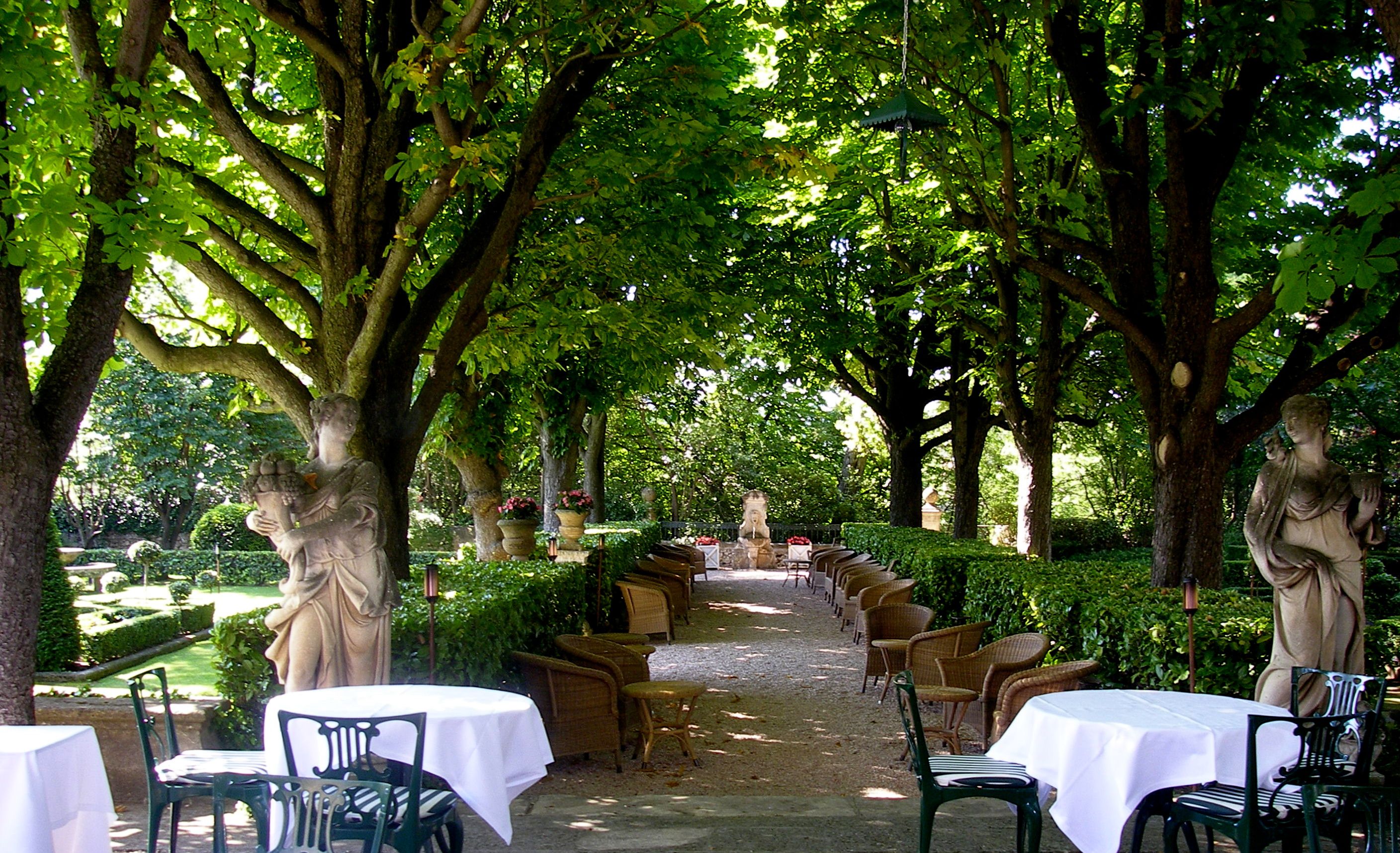 Provence Garden Provence Garden