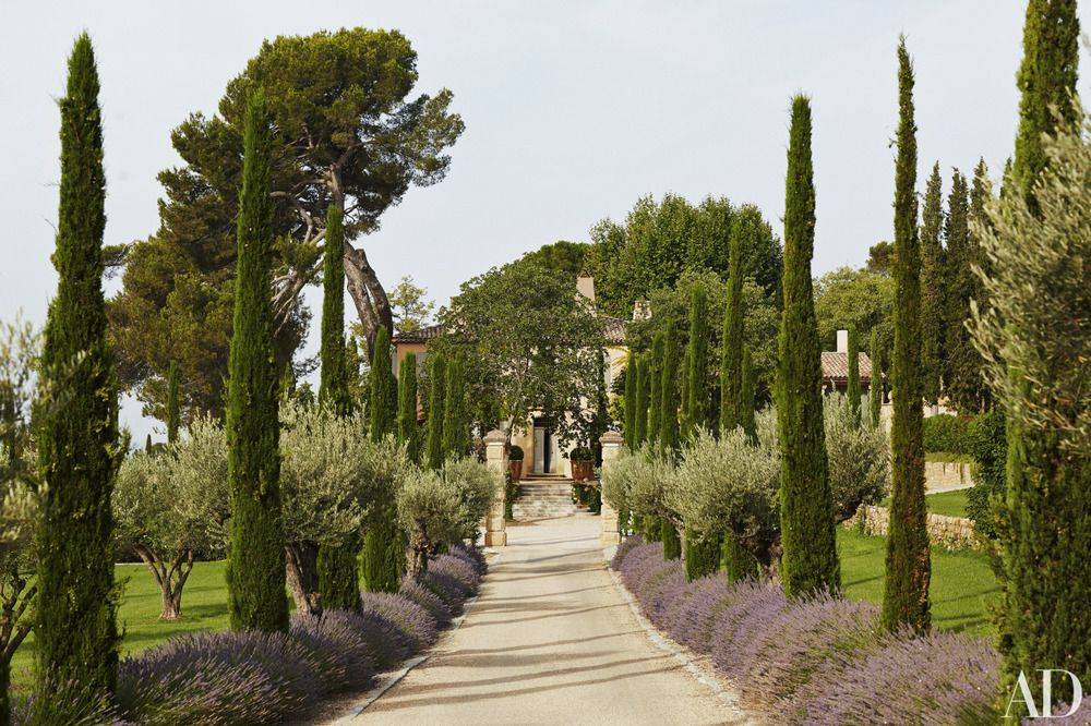 Terrace Garden Bormeslesmimosas France Beautiful Gardens