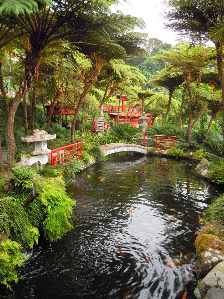 The Most Beautiful Botanical Gardens