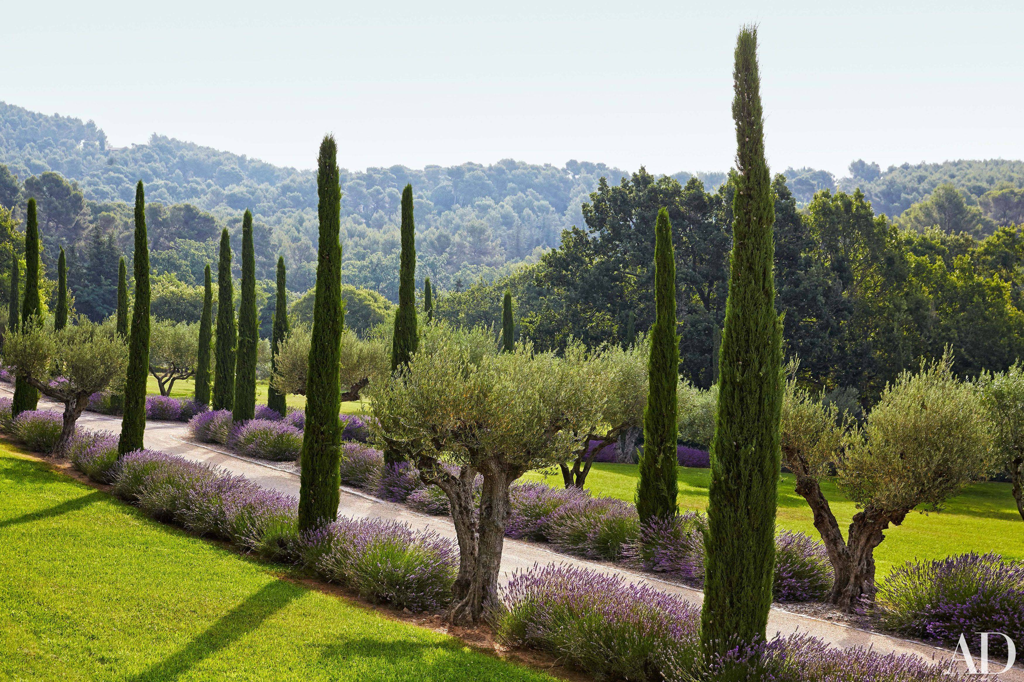 Mediterranean Garden