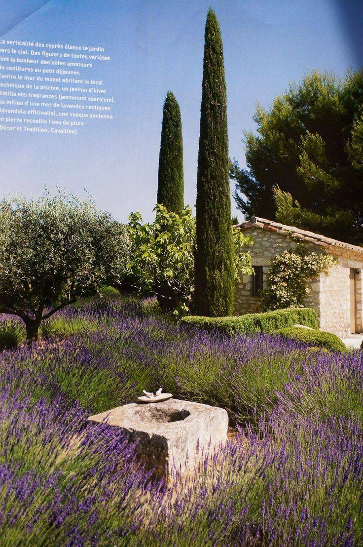 March Clippedonissuu Landscape Design
