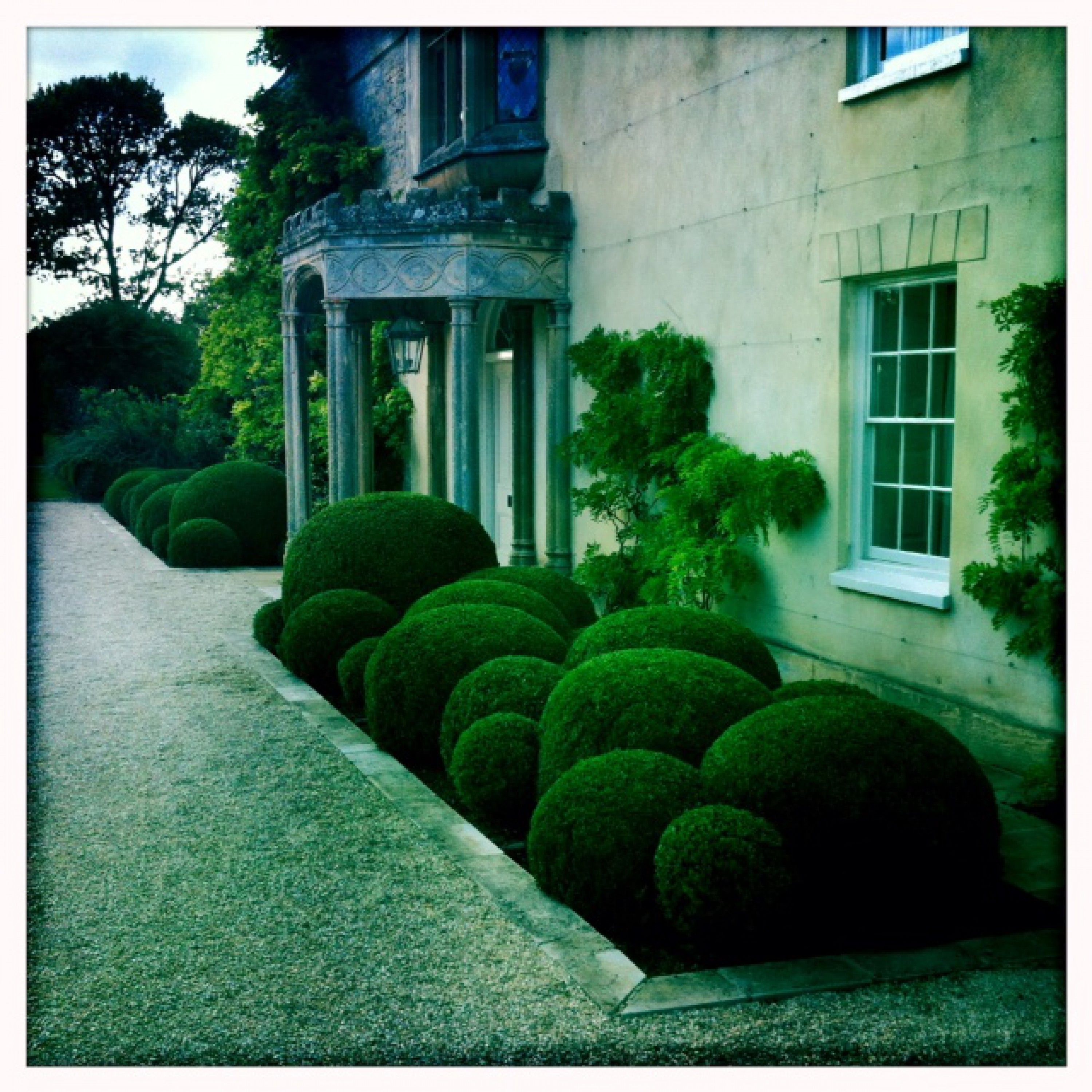 Front Garden