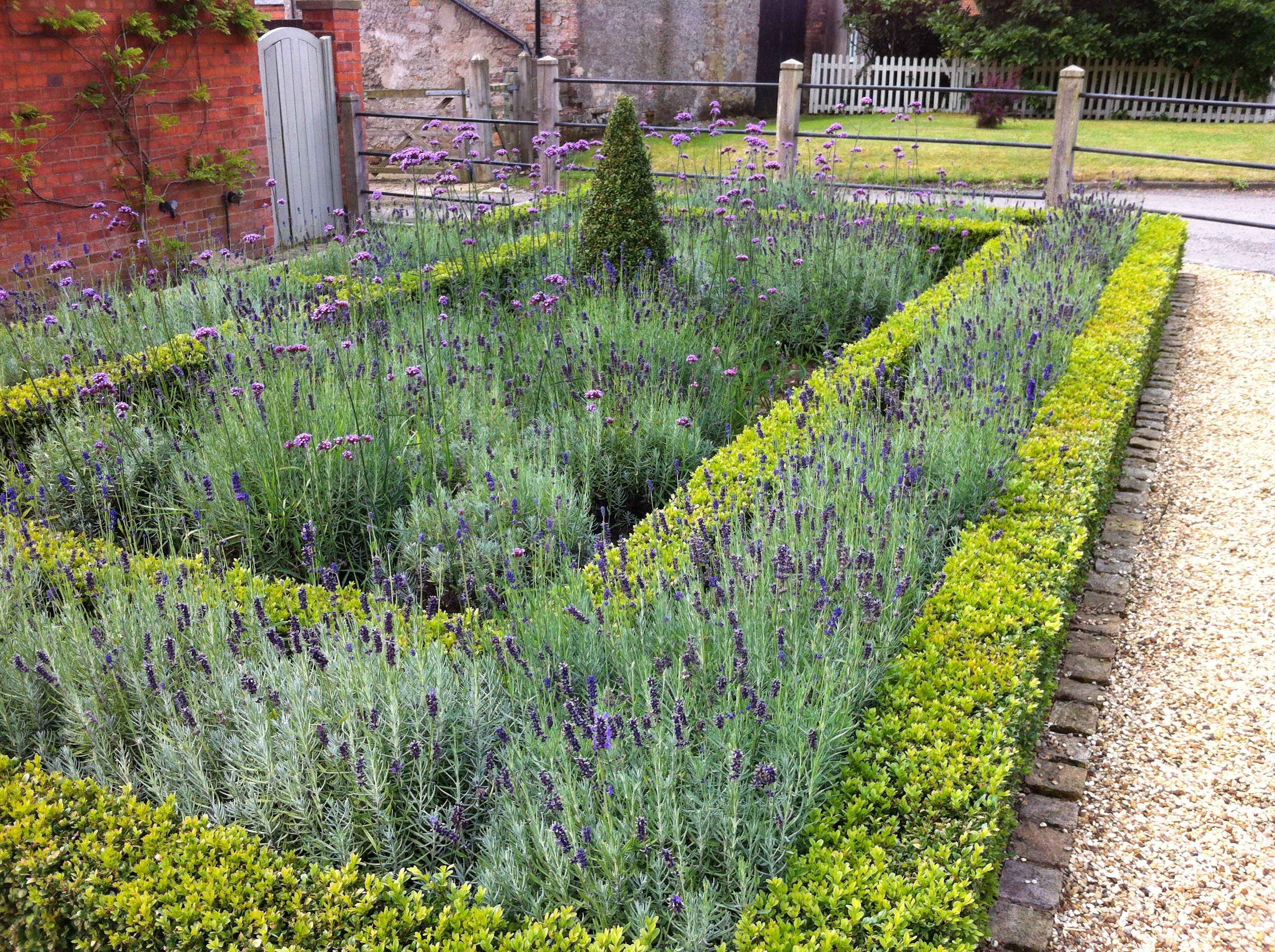 Box Hedging