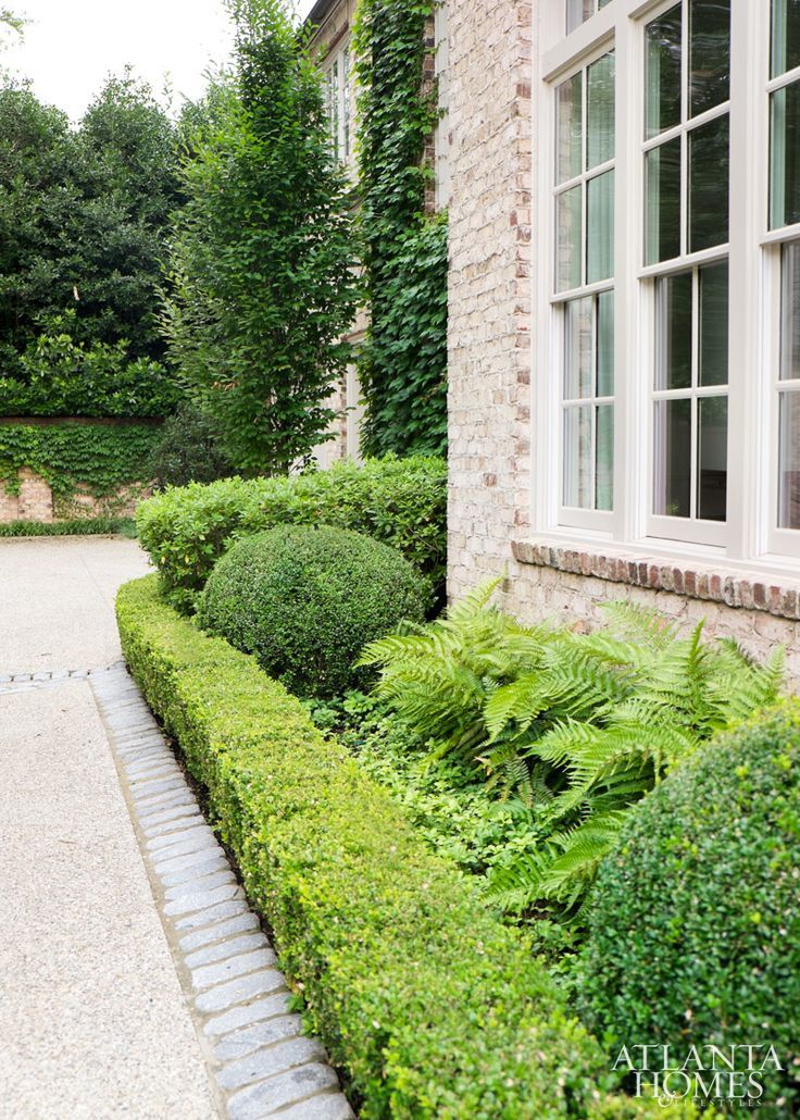 Large Putney Front Garden Small Front Gardens
