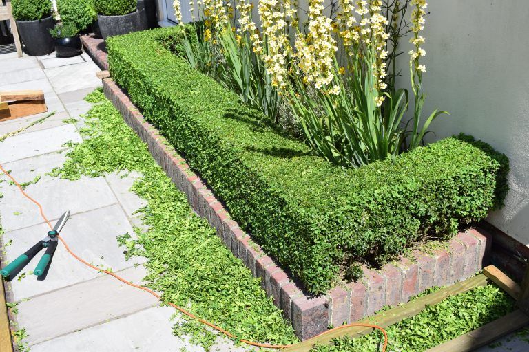 Pin On Garden Time