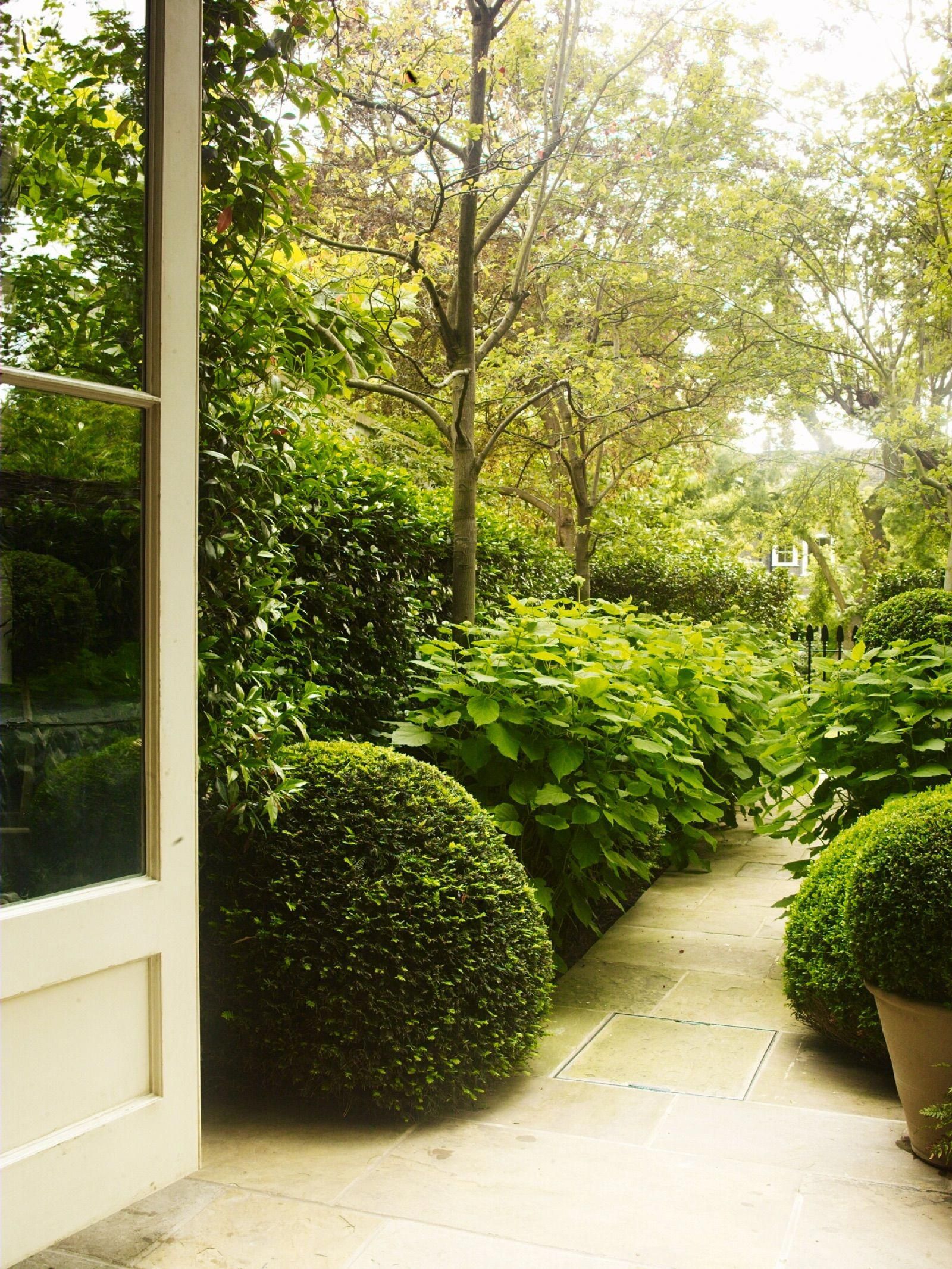 Notting Hill Garden Contemporary Landscape London
