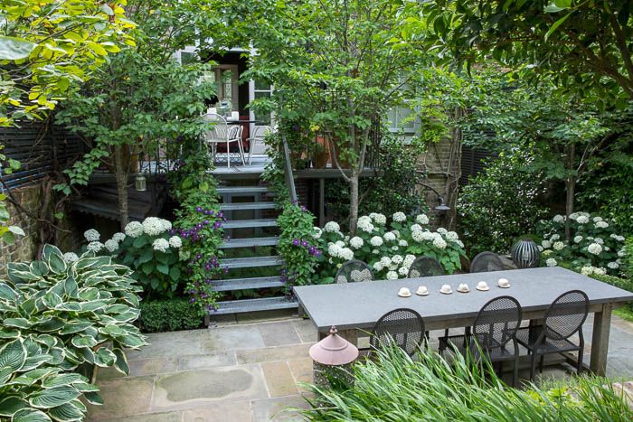 Cute Trimmed Shrubs