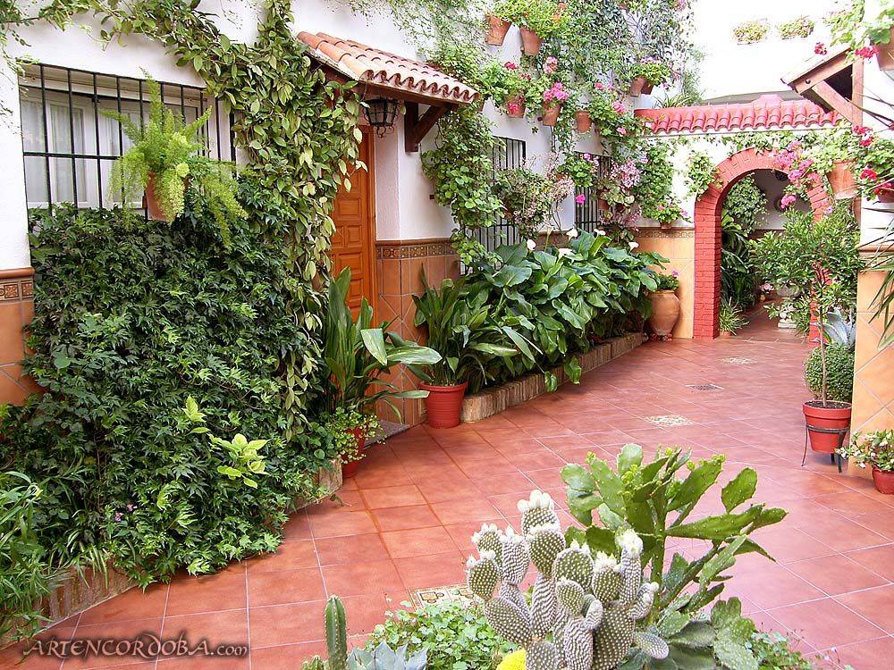 Minimalist Courtyard Garden