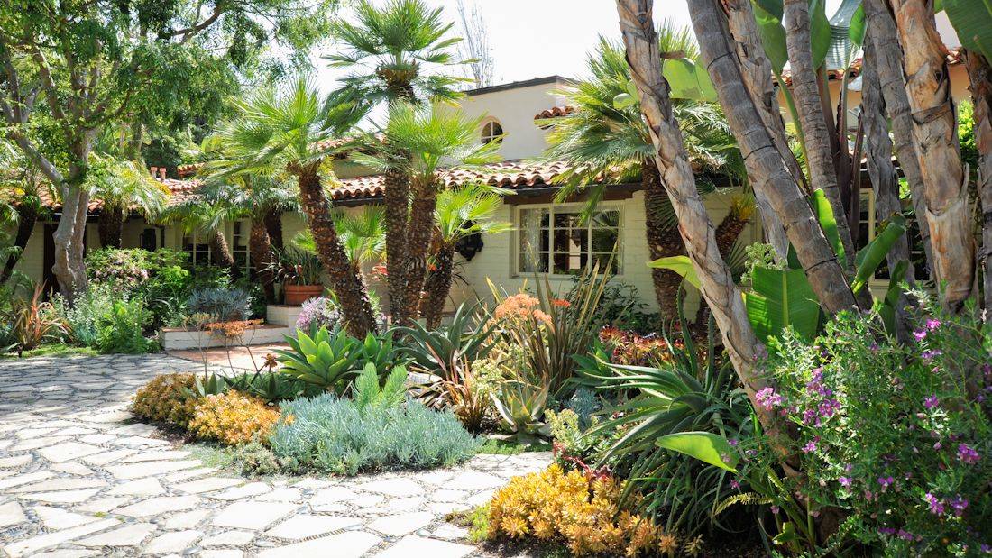 Summerready Backyard