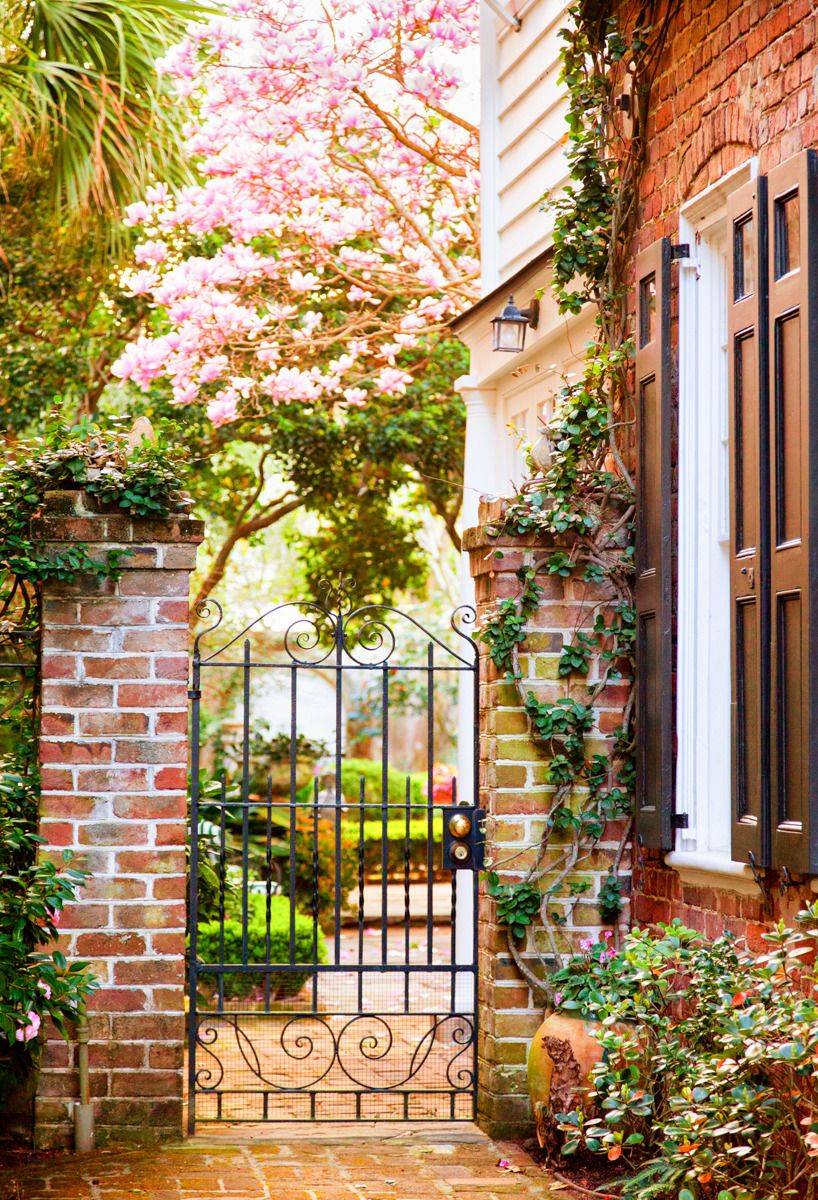 South Carolina Finegardening