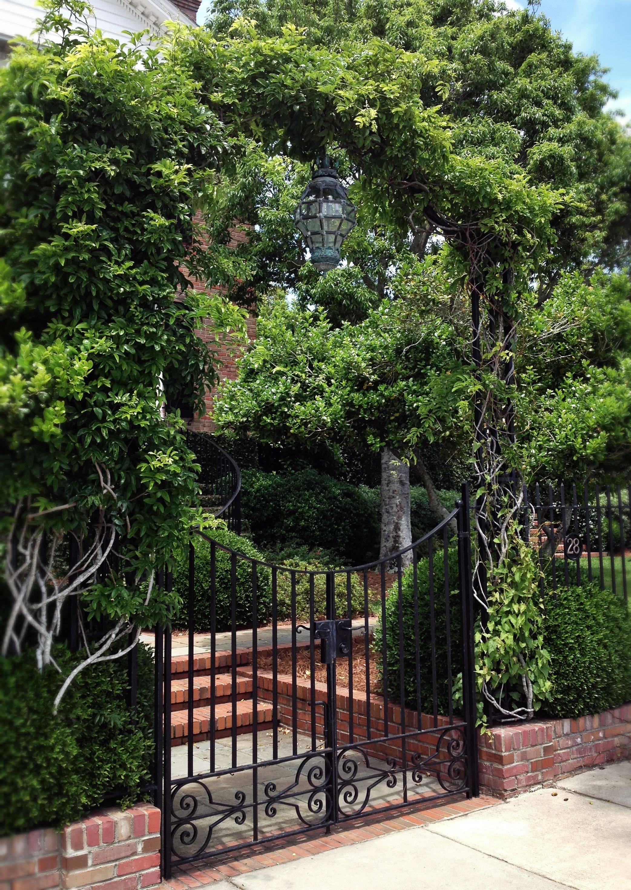 Charleston Gated Garden Iron Garden Gates
