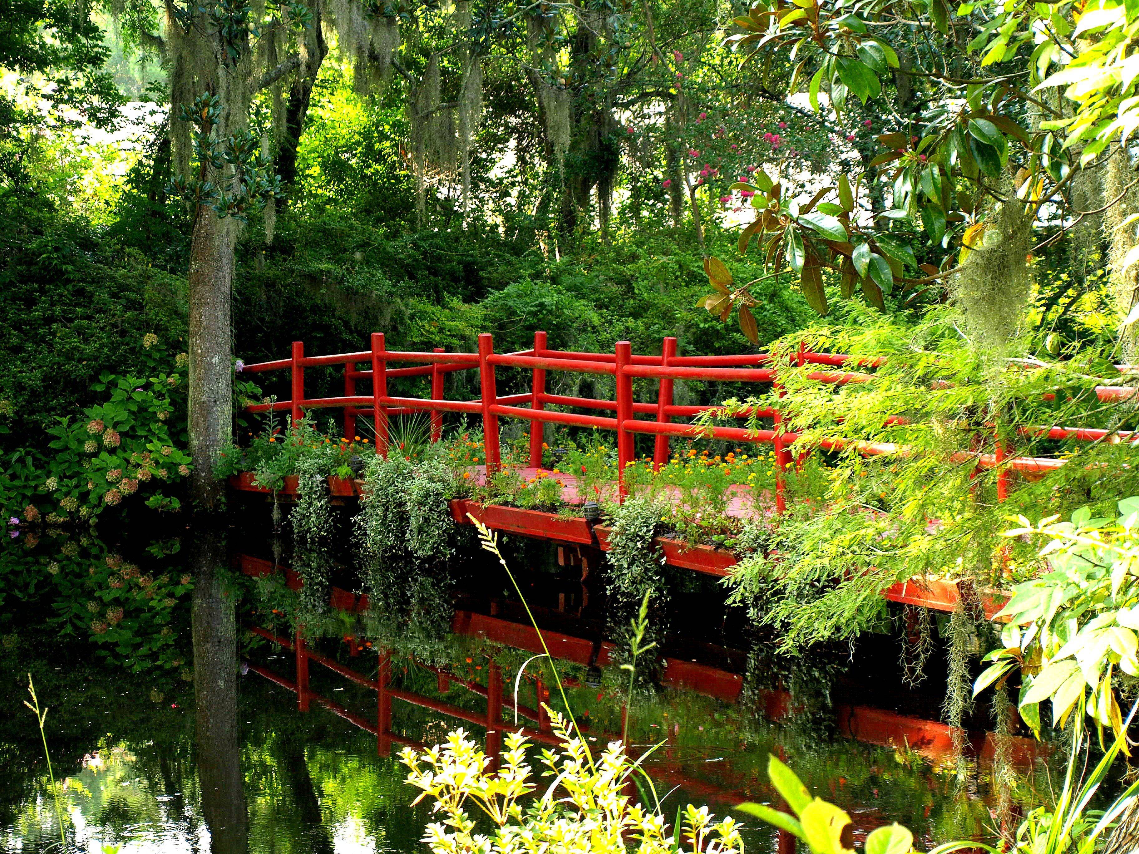 Magnolia Community Garden Charleston Sc