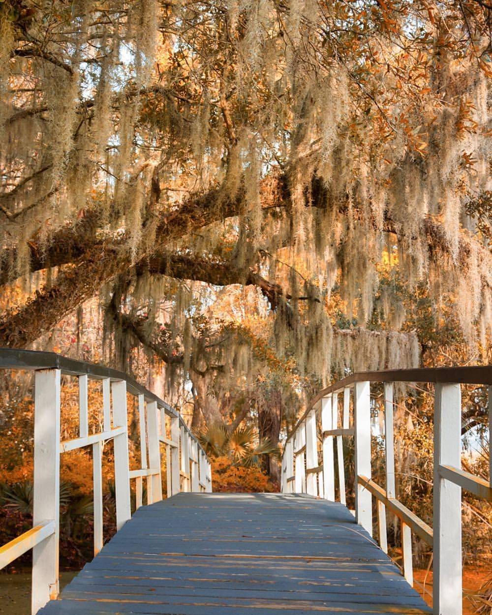 Magnolia Plantation And Gardens Reception Venues Charleston