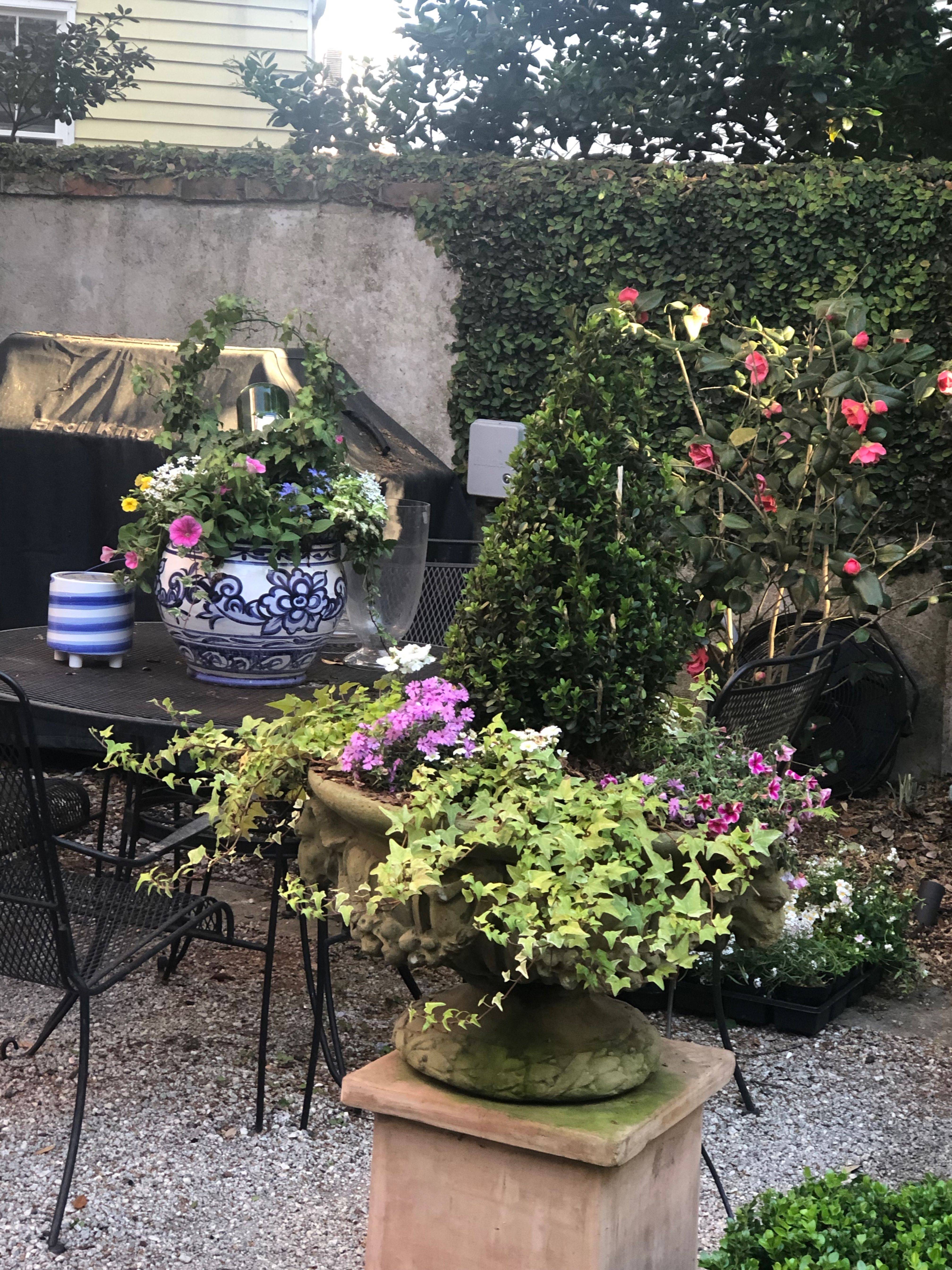 Best Charleston Shade Gardens Images