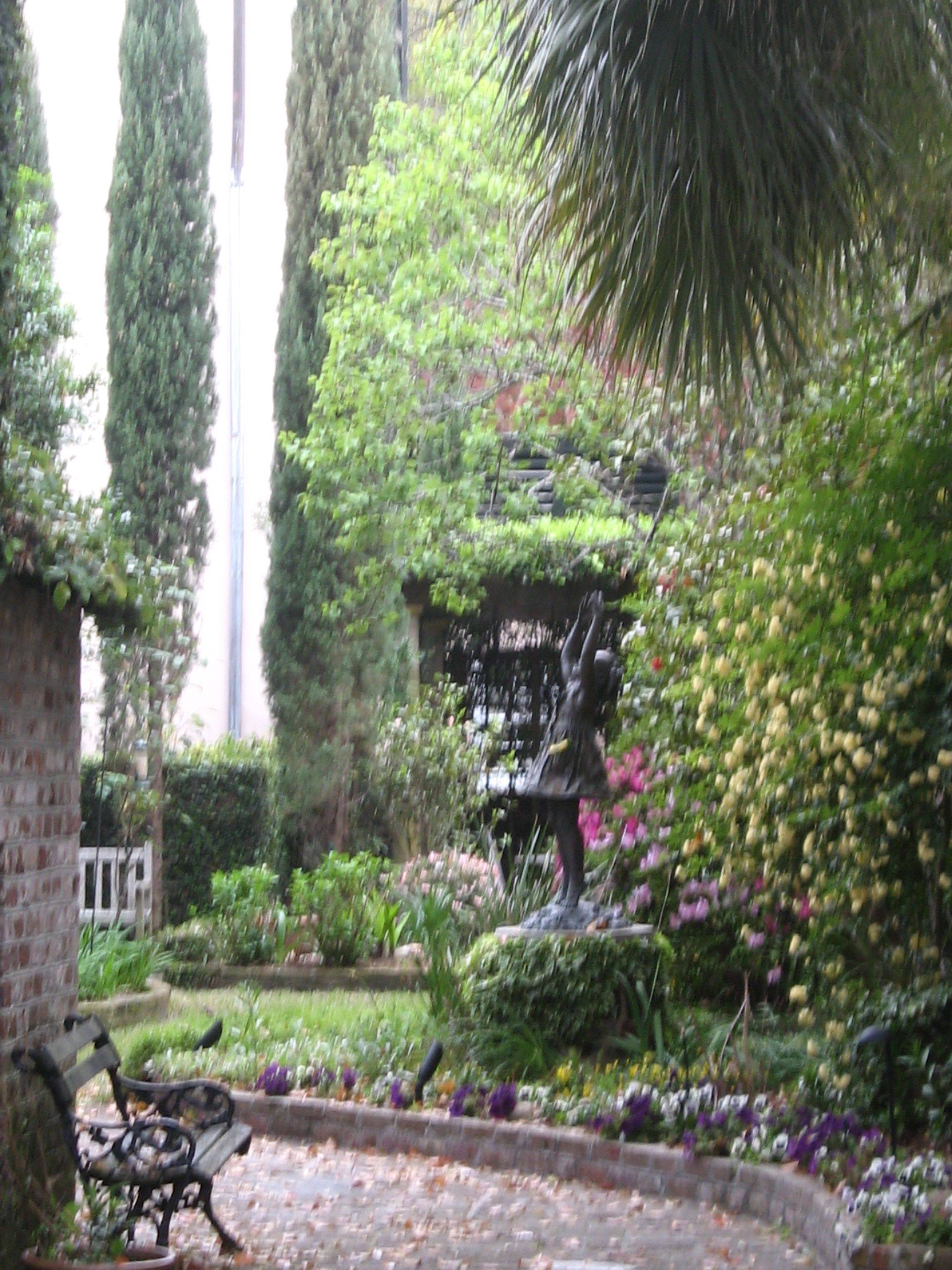Garden Section Charleston Gardens