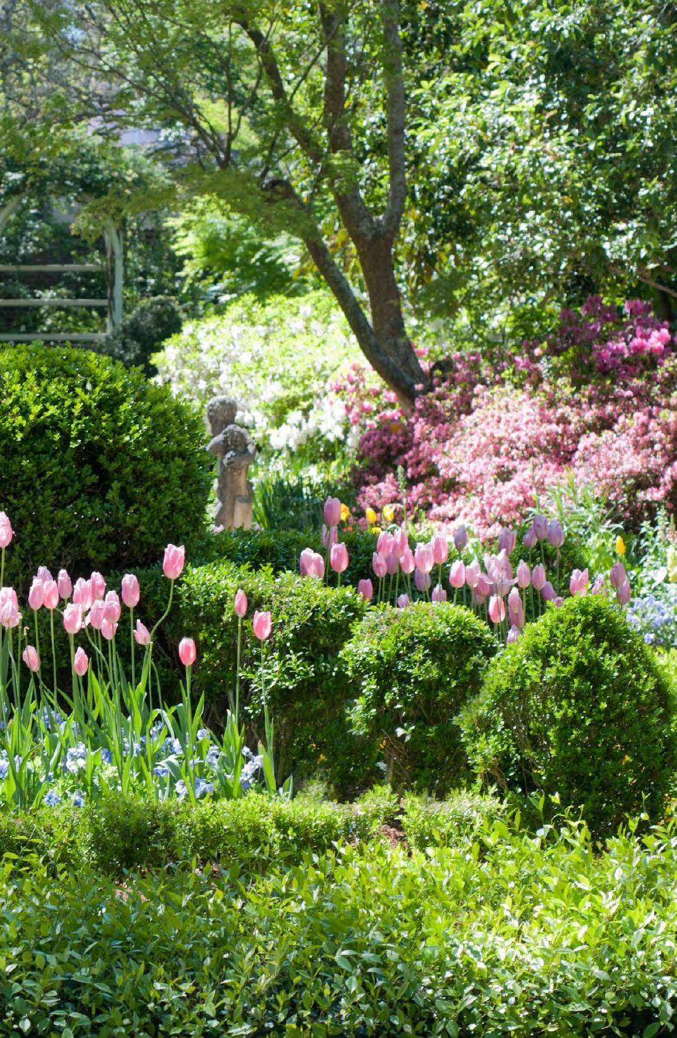 Shade Garden Plant Ideas