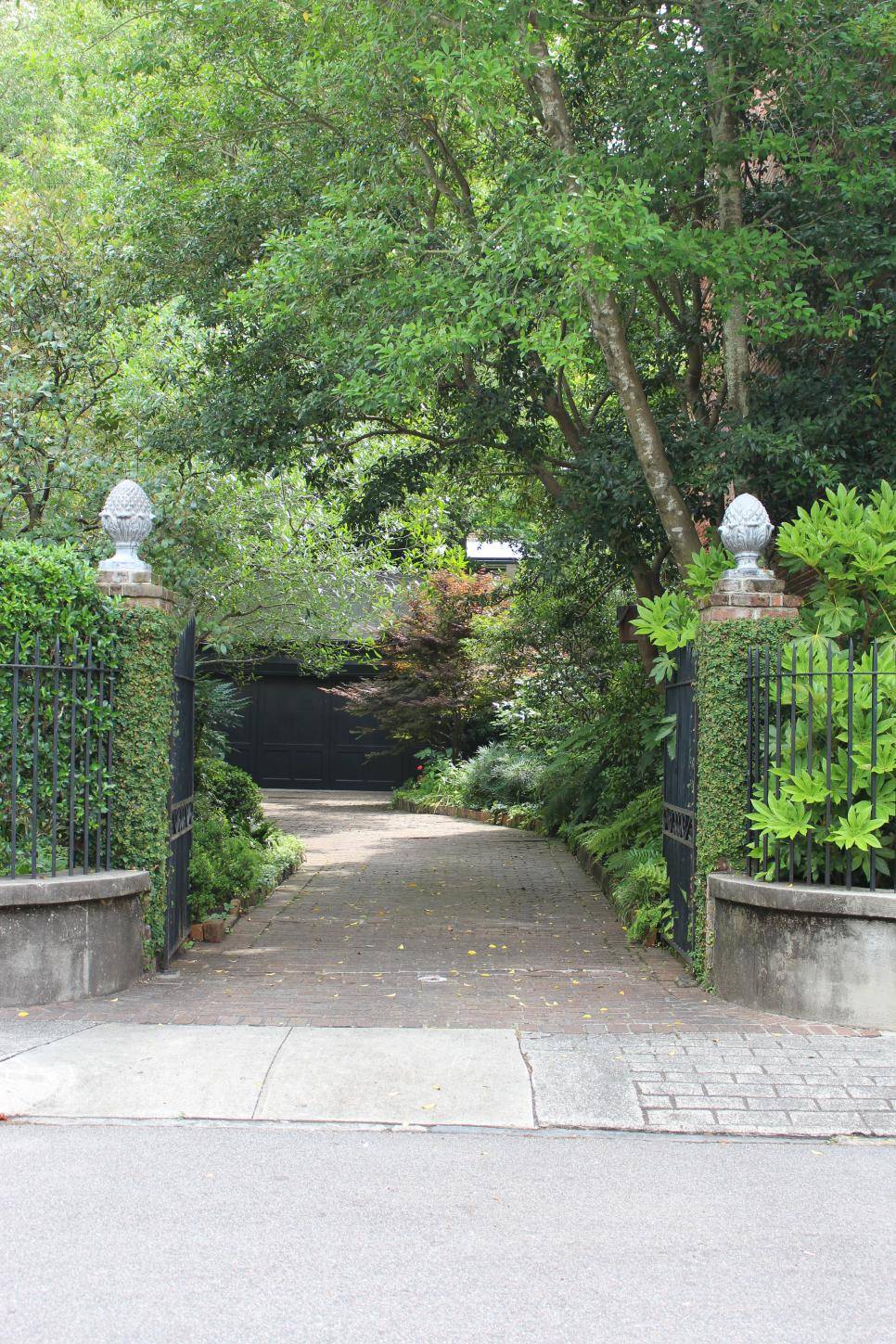 Shade Garden Plant Ideas