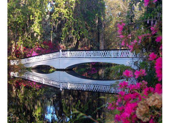 Magnolia Plantation And Gardens Wedding Cost
