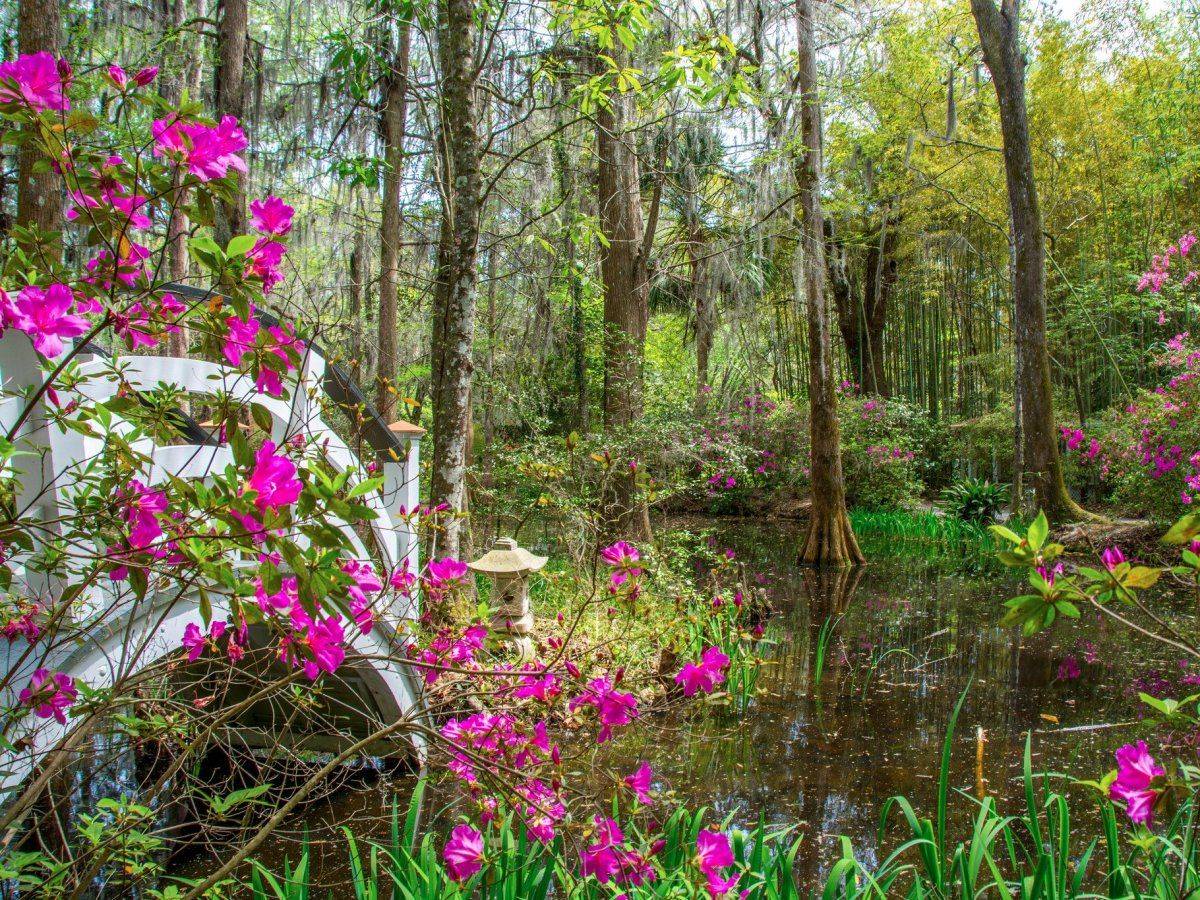 Sydney Schwiebert Color Display Manager Magnolia Plantation