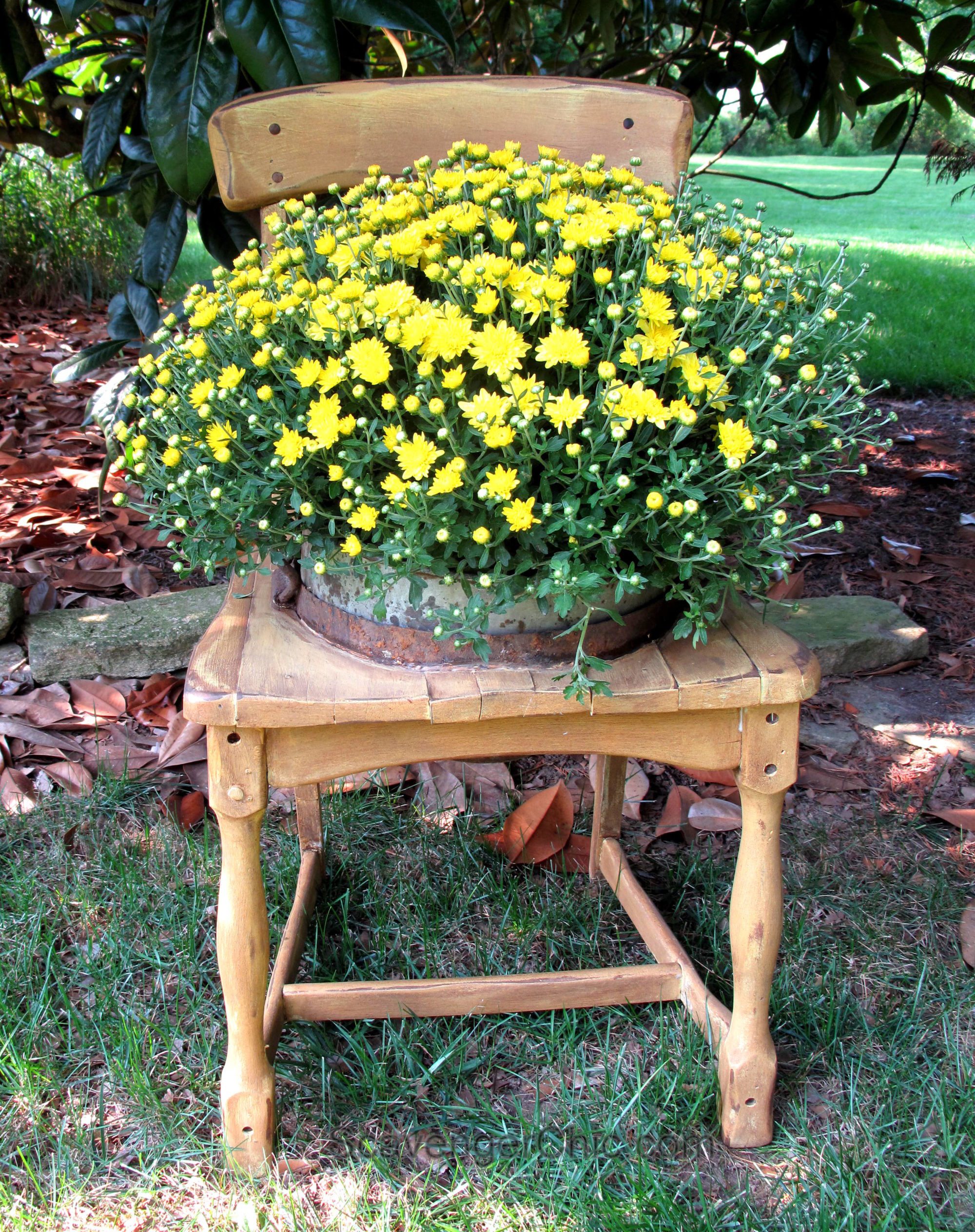 Creative Upcycled Diy Chair Planter Ideas