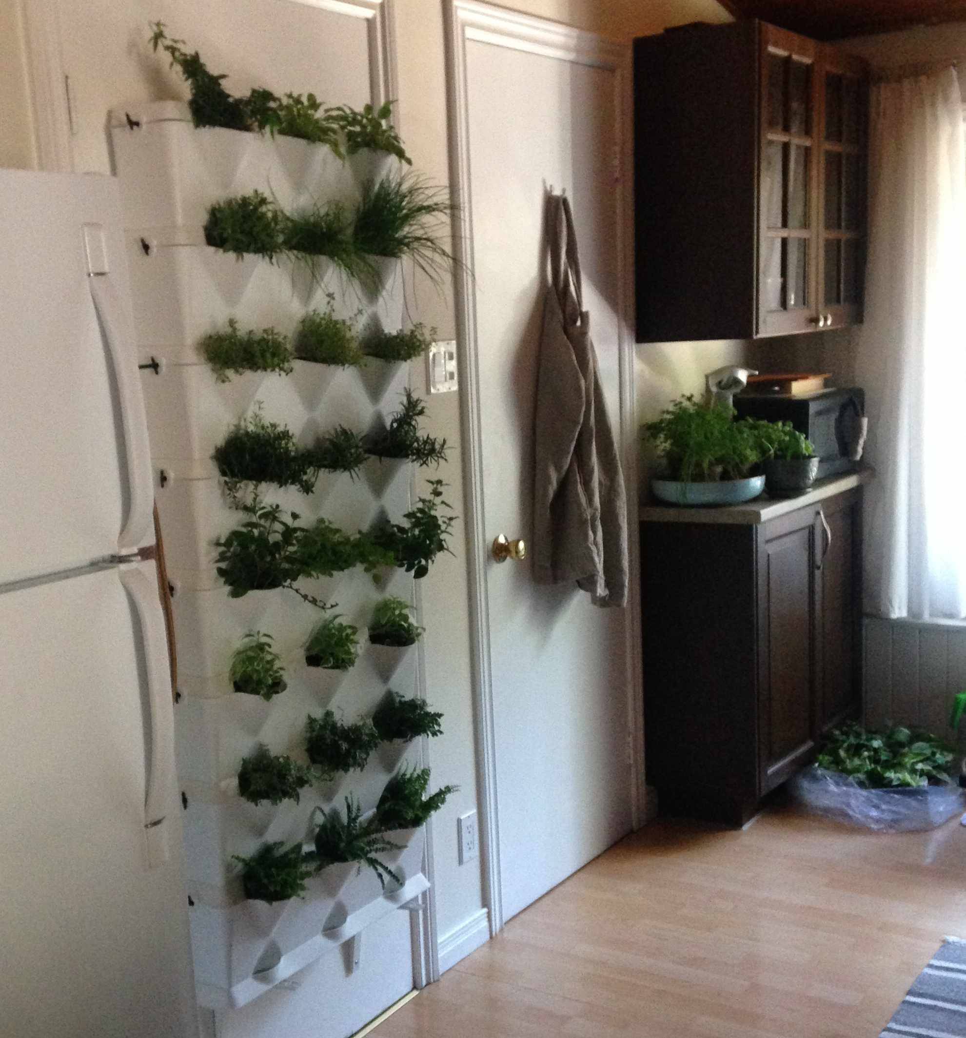 Amazing Indoor Kitchen Herb Gardens