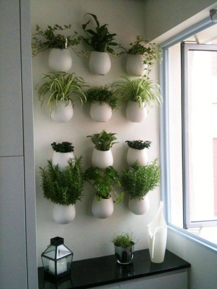 Indoor Wall Herb Garden Ideas