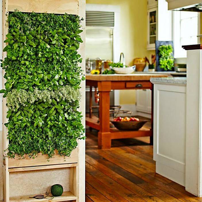 Beautiful Vertical Garden Design Ideas