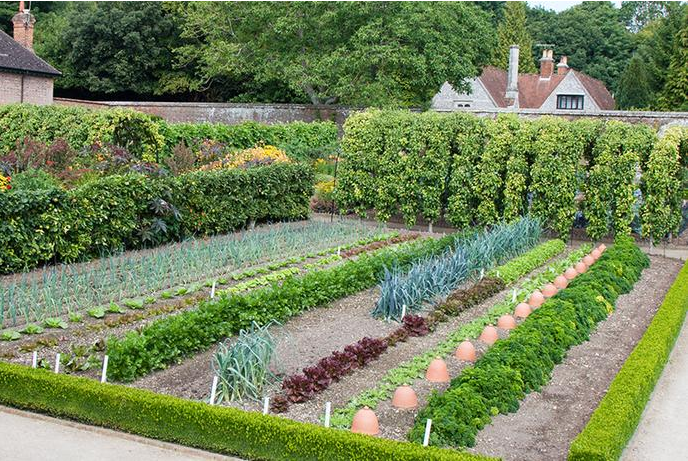 Eight Amazing Walled Kitchen Gardens