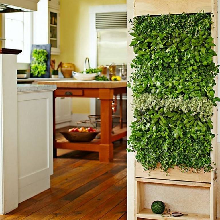 Indoor Garden Wall Ideas