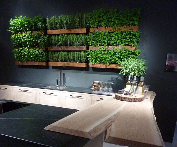 Kitchen Design Trends