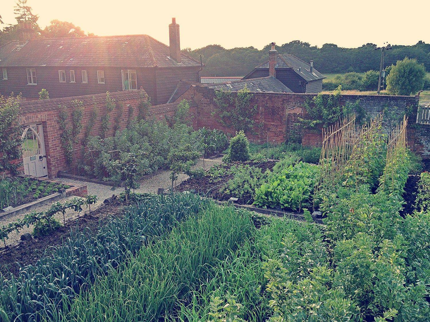 Your Own Vegetable Garden