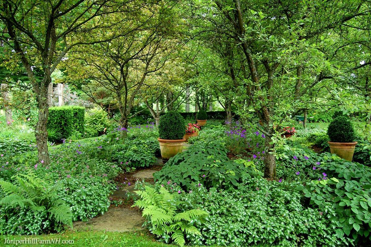 Side Garden Courtyard Gardens