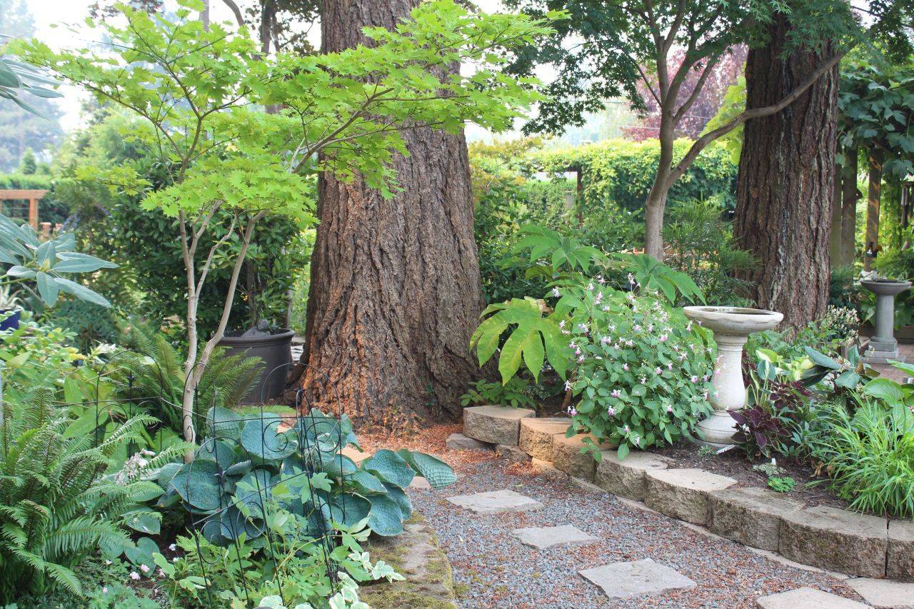 Kiemas Shade Garden Design