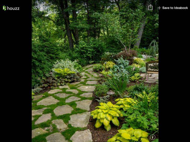 Moss Garden Designs
