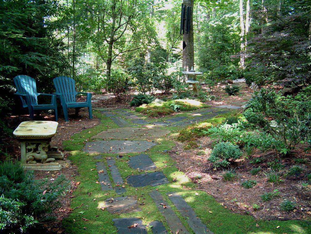 Moss Gardening Lewis Ginter Botanical Garden