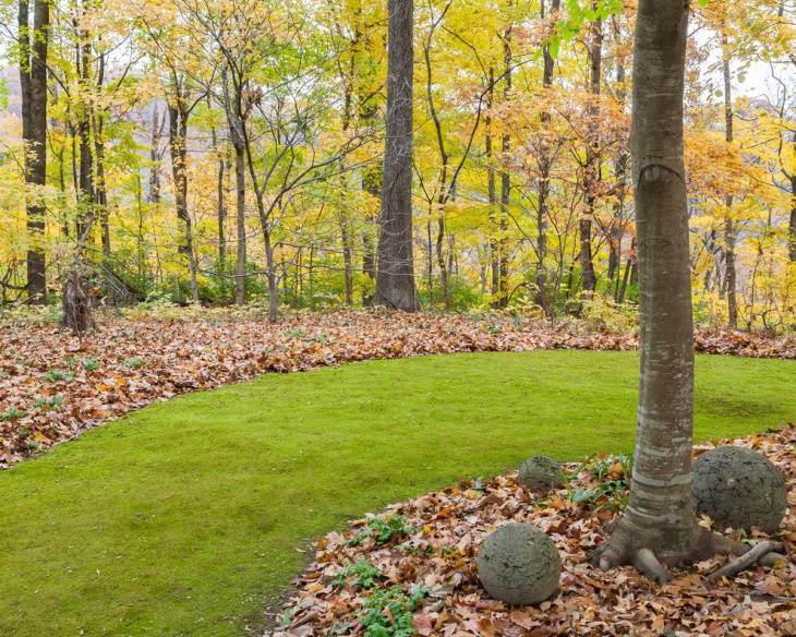 Backyard Landscaping Designs