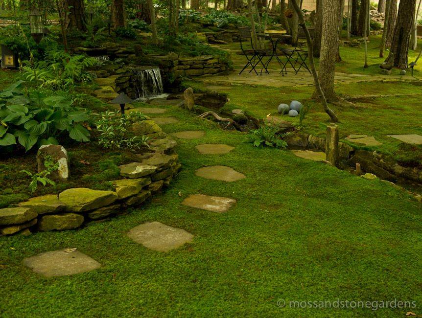 Shade Garden Design
