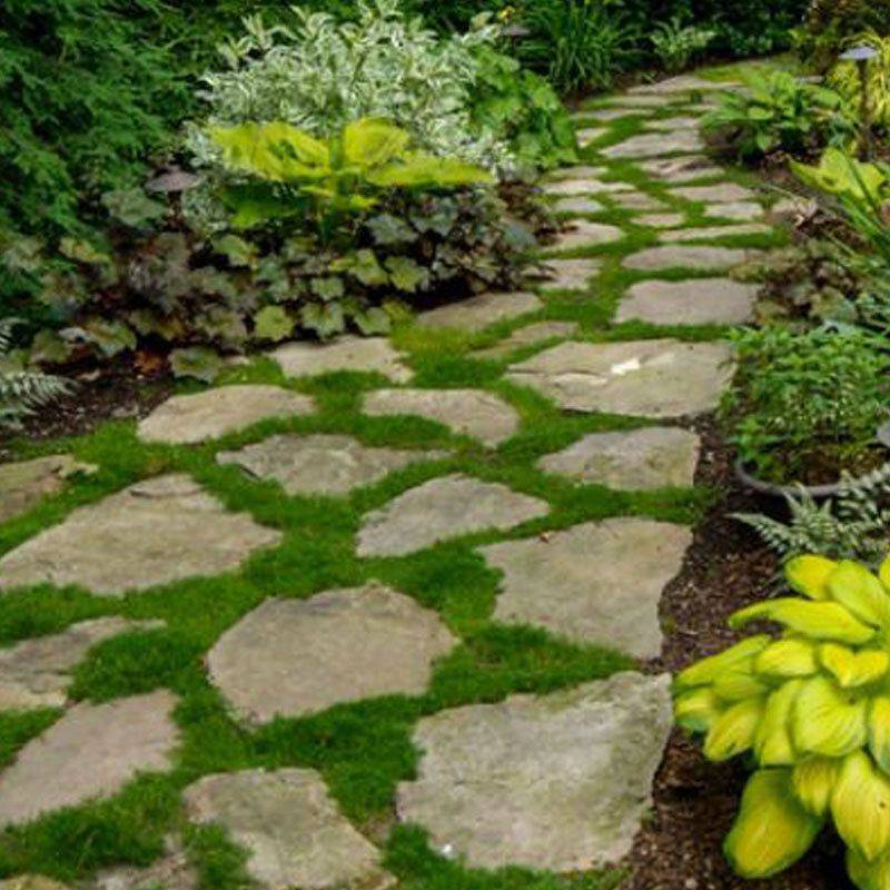 Simple And Beautiful Shade Garden Design Ideas