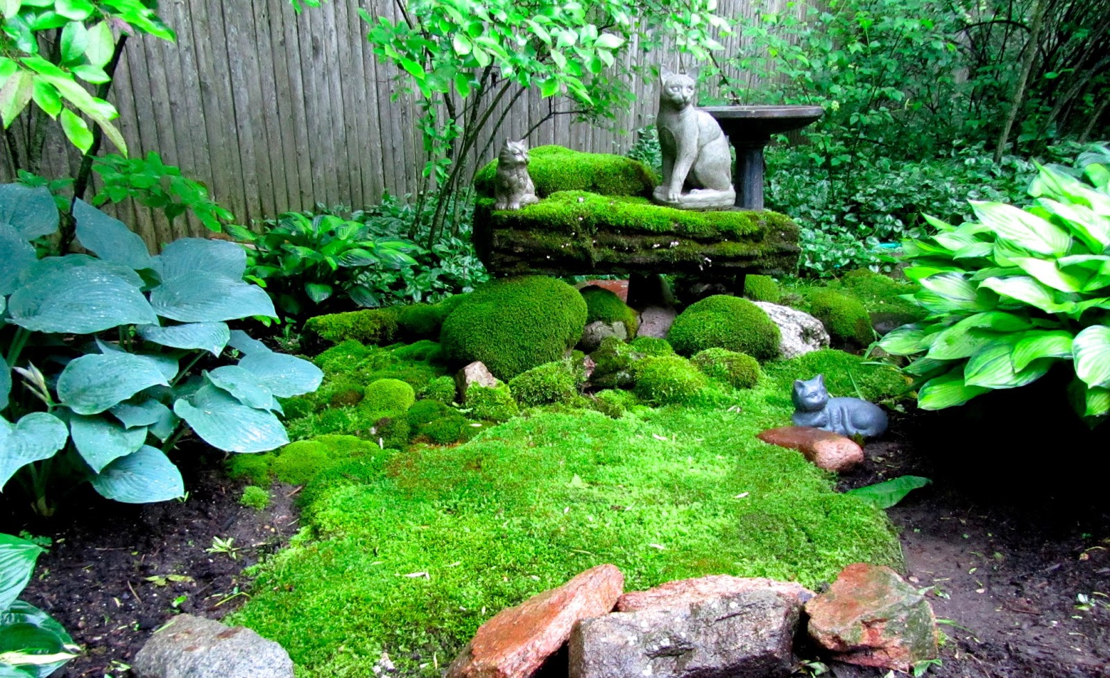 Wonderful Moss Garden