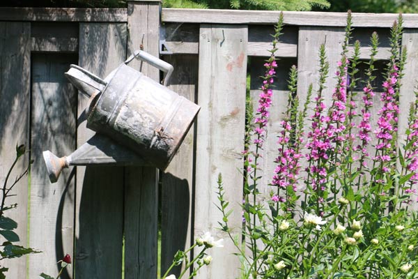 Creative Watering Can Garden Art Ideas