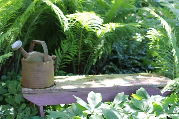 Stunning Watering Cans Decor Ideas