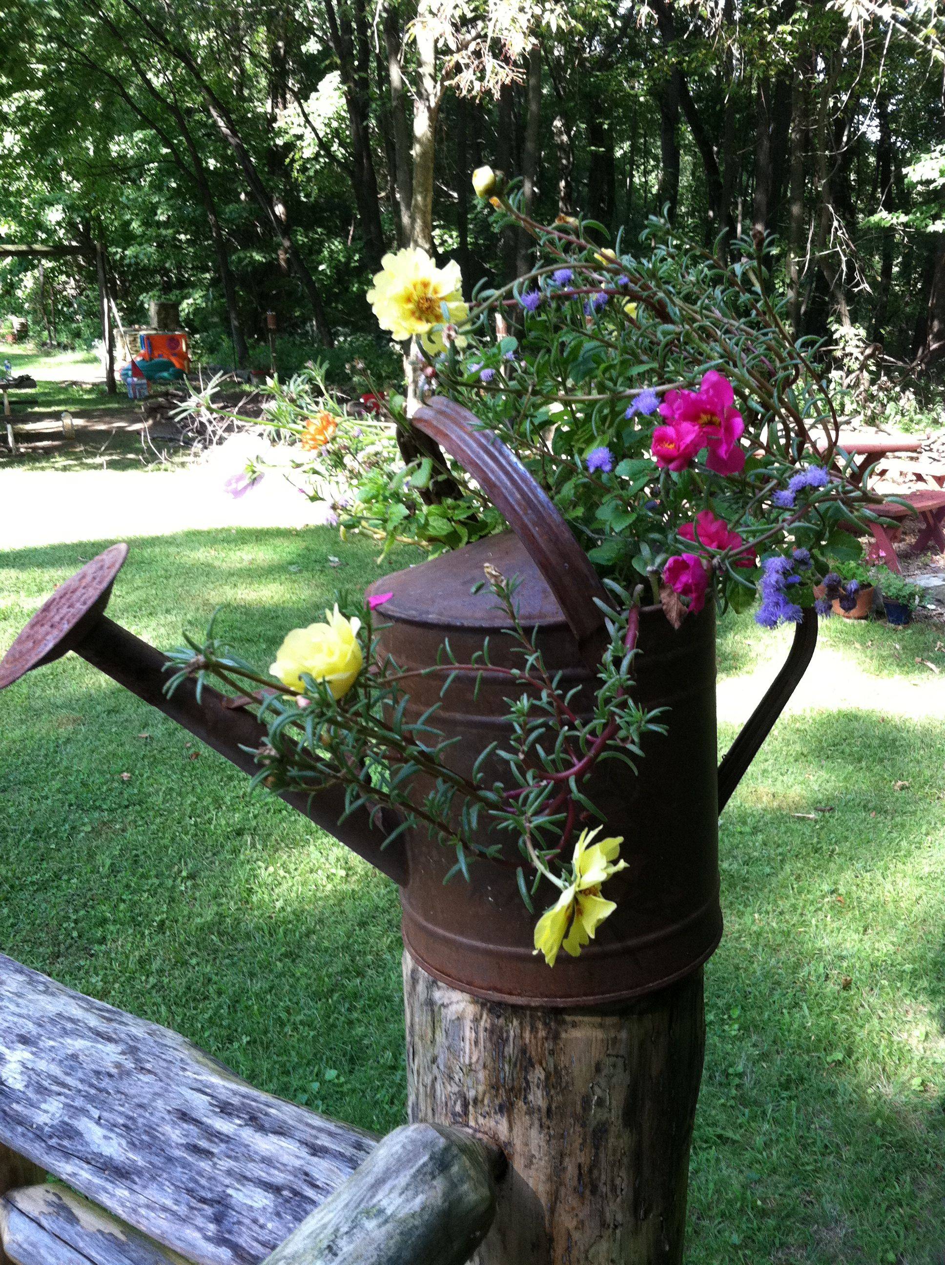 Stunning Watering Cans Decor Ideas