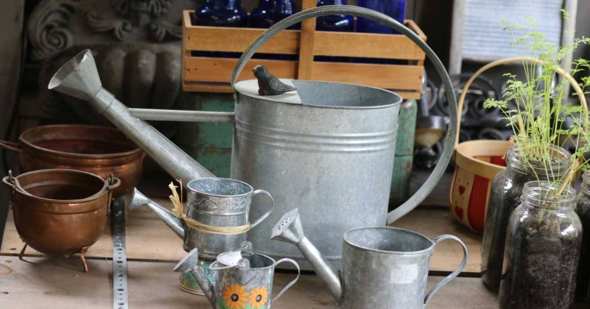 Creative Watering Can Garden Art Ideas