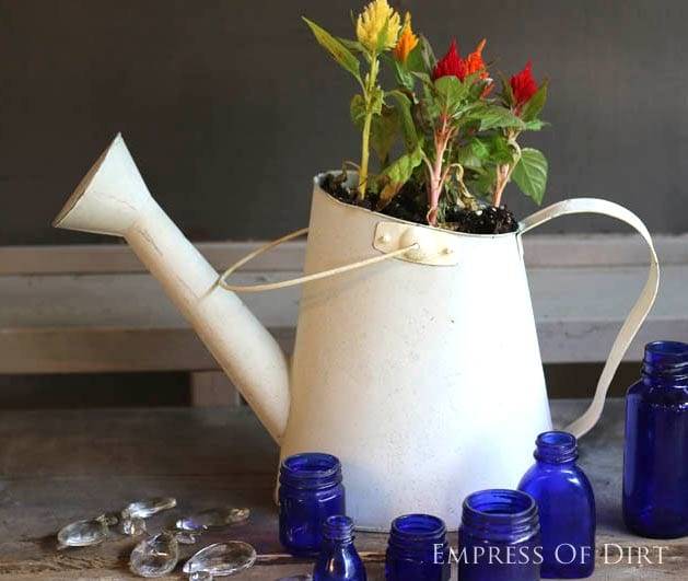 My Favorite Old Watering Cans