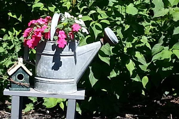 Watering Can Garden Art Ideas Empress